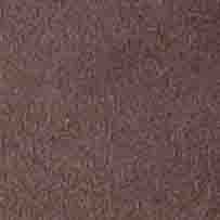 722362 Urban Snowboarder