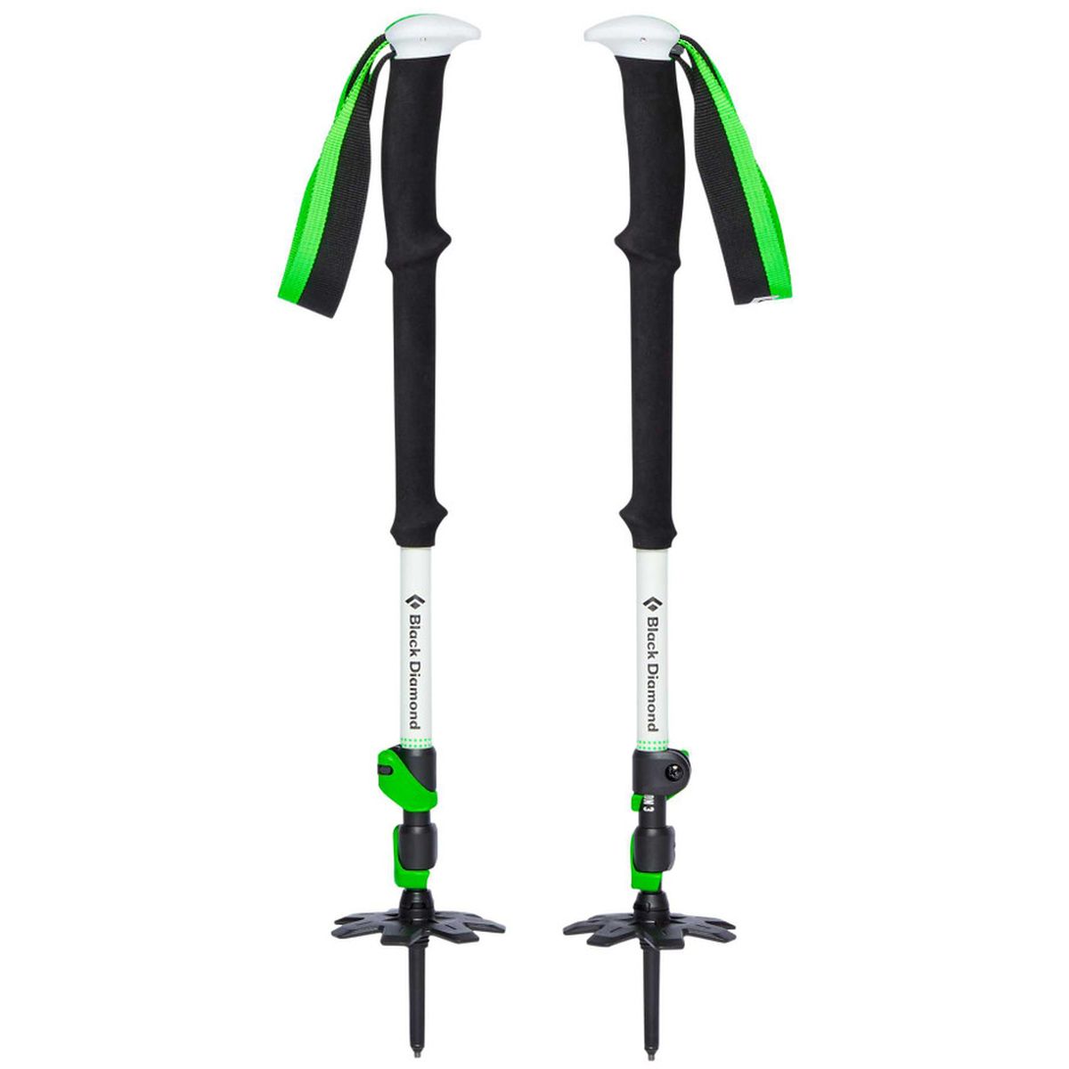Expedition 3 Ski Poles