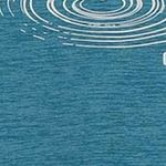 Woman T-Shirt 39T6136