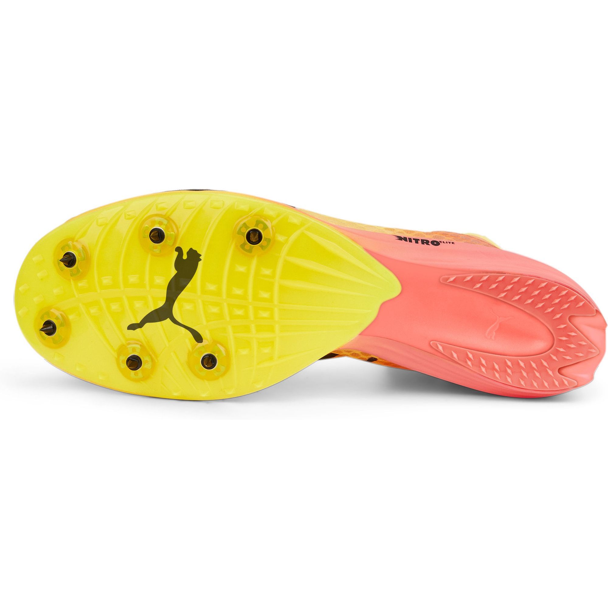 evoSPEED Distance Nitro Elite+ 2