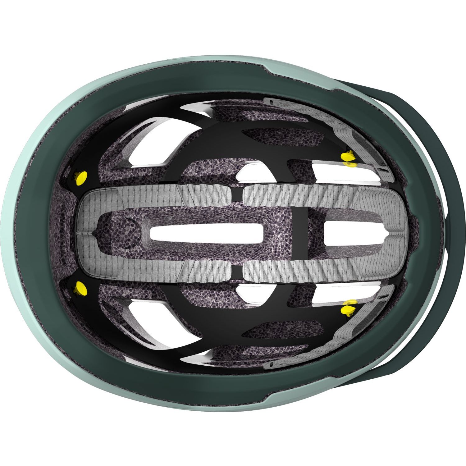 Arx Plus (CE)