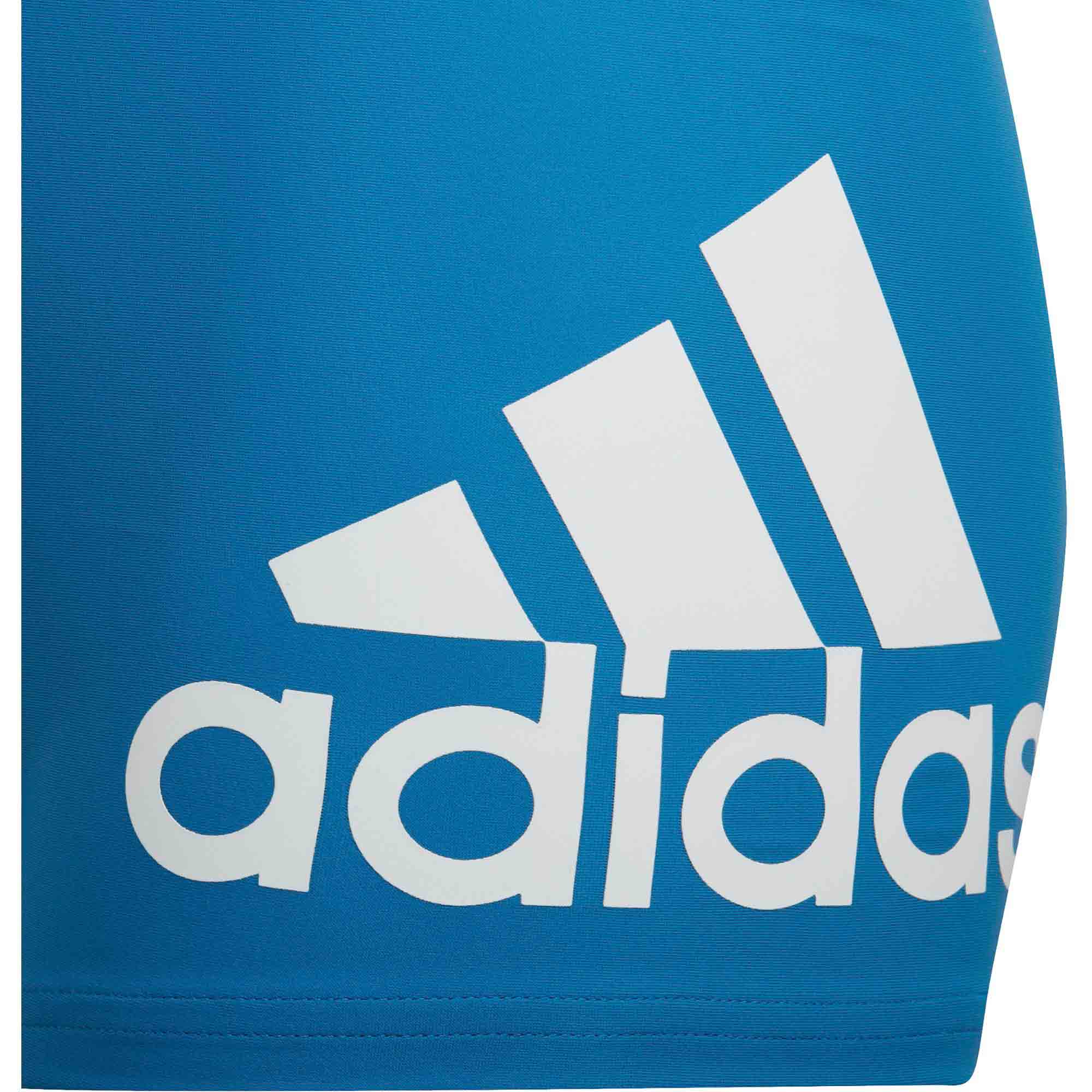 YB BOS BRIEF