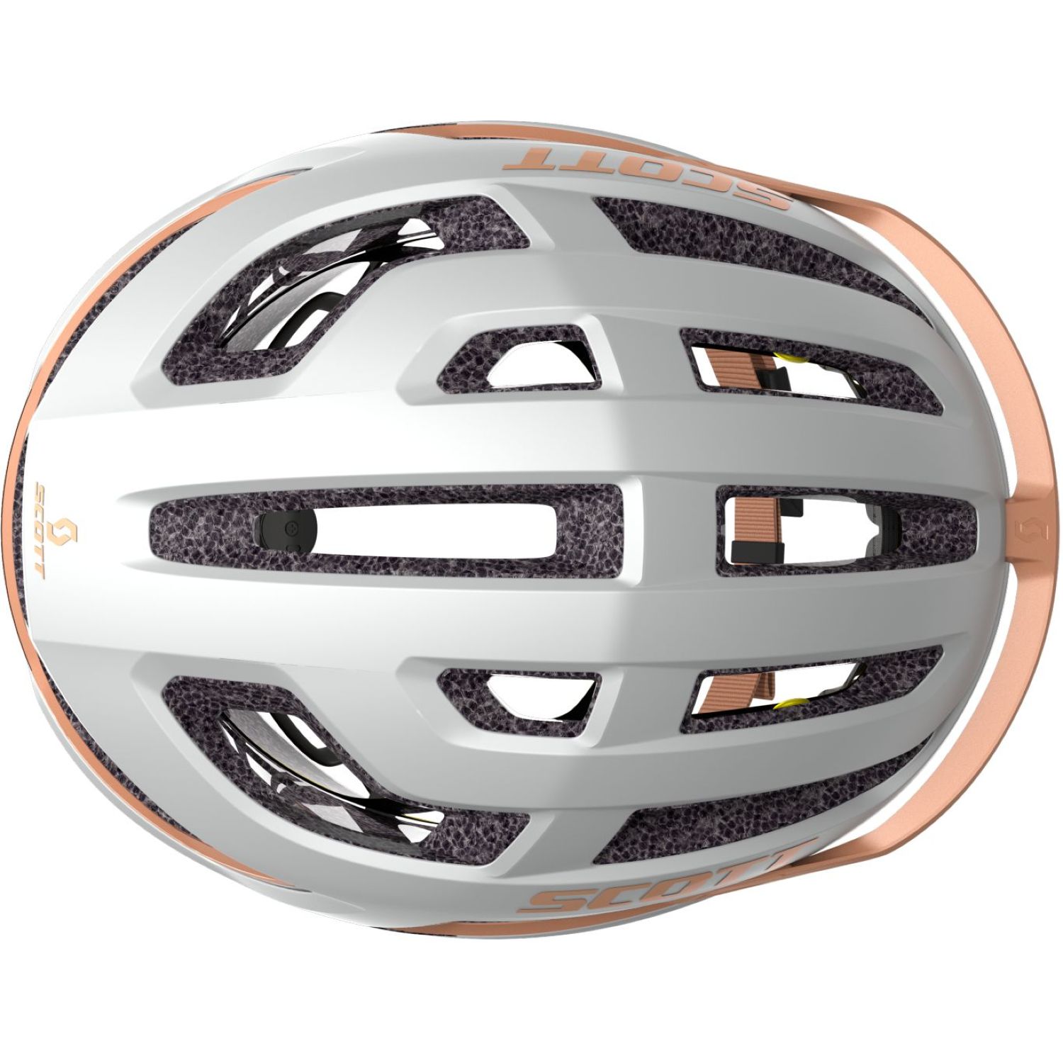 Arx Plus (CE)