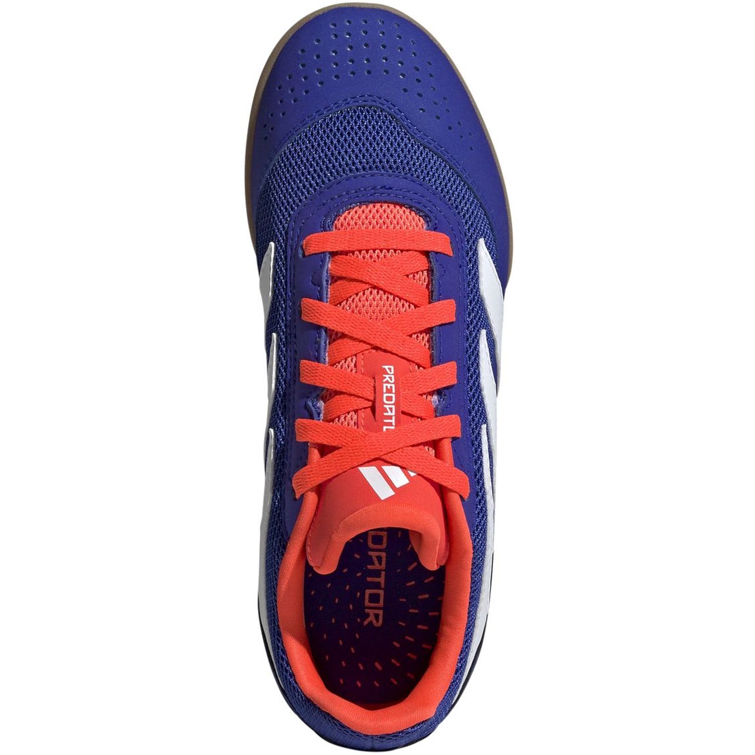 PREDATOR CLUB IN SALA J