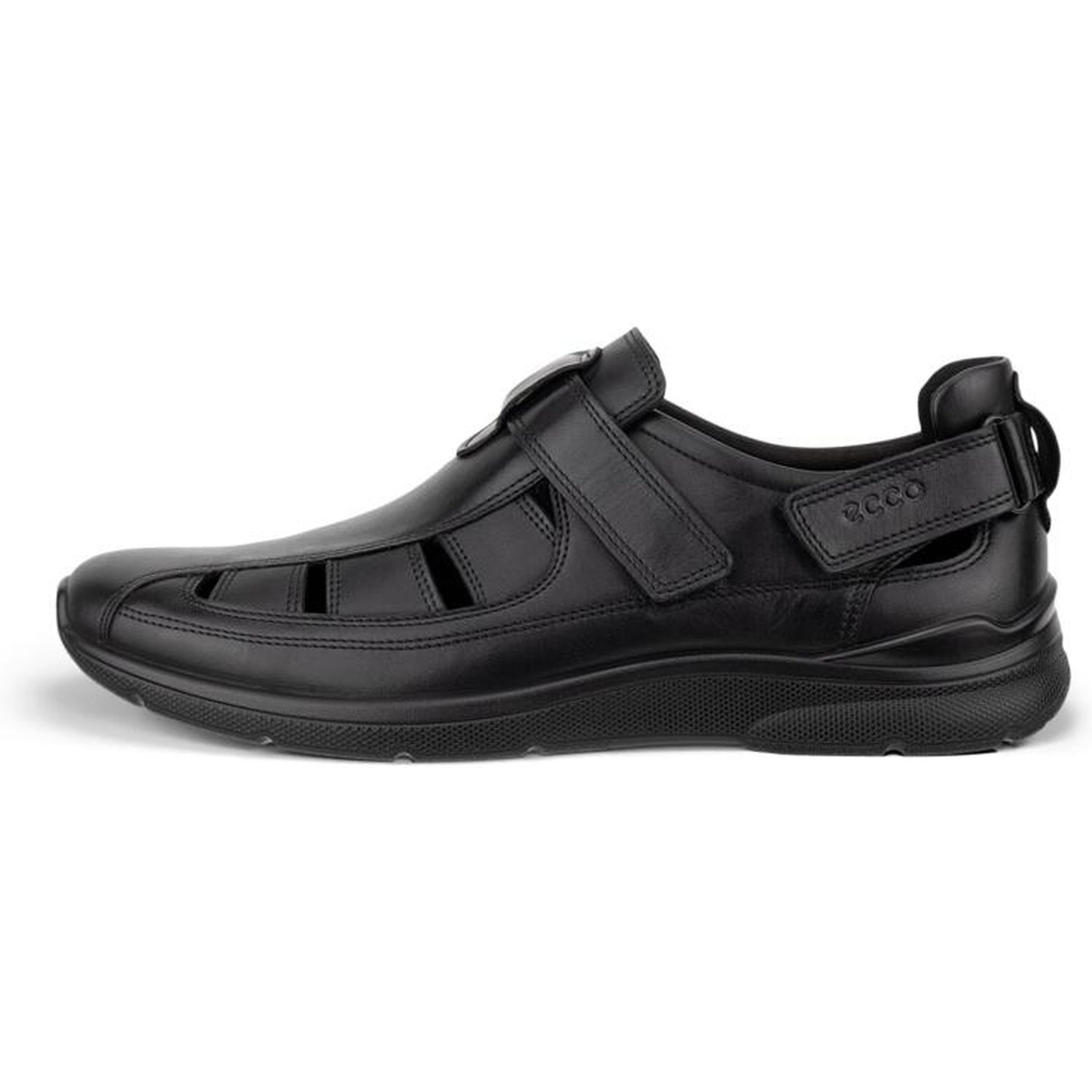 511764 Irving Fischerman