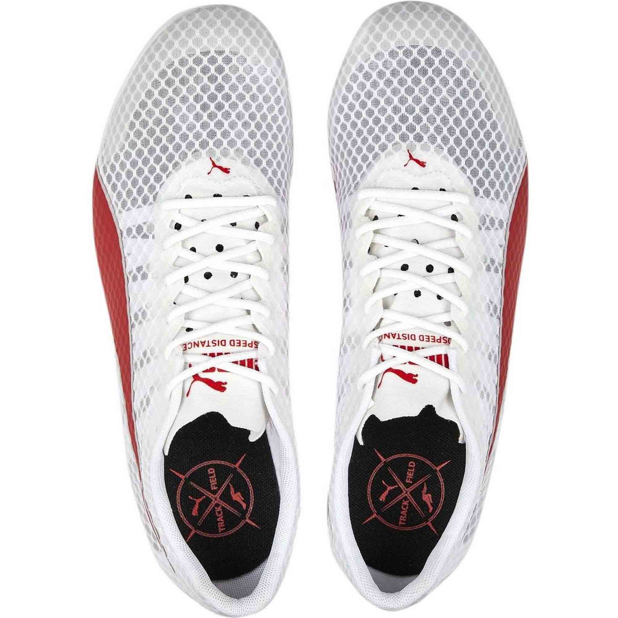 evoSPEED Distance 11