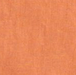 On the Seashore Pant