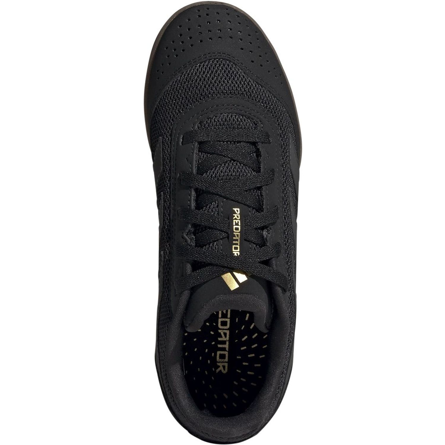 PREDATOR CLUB IN SALA J