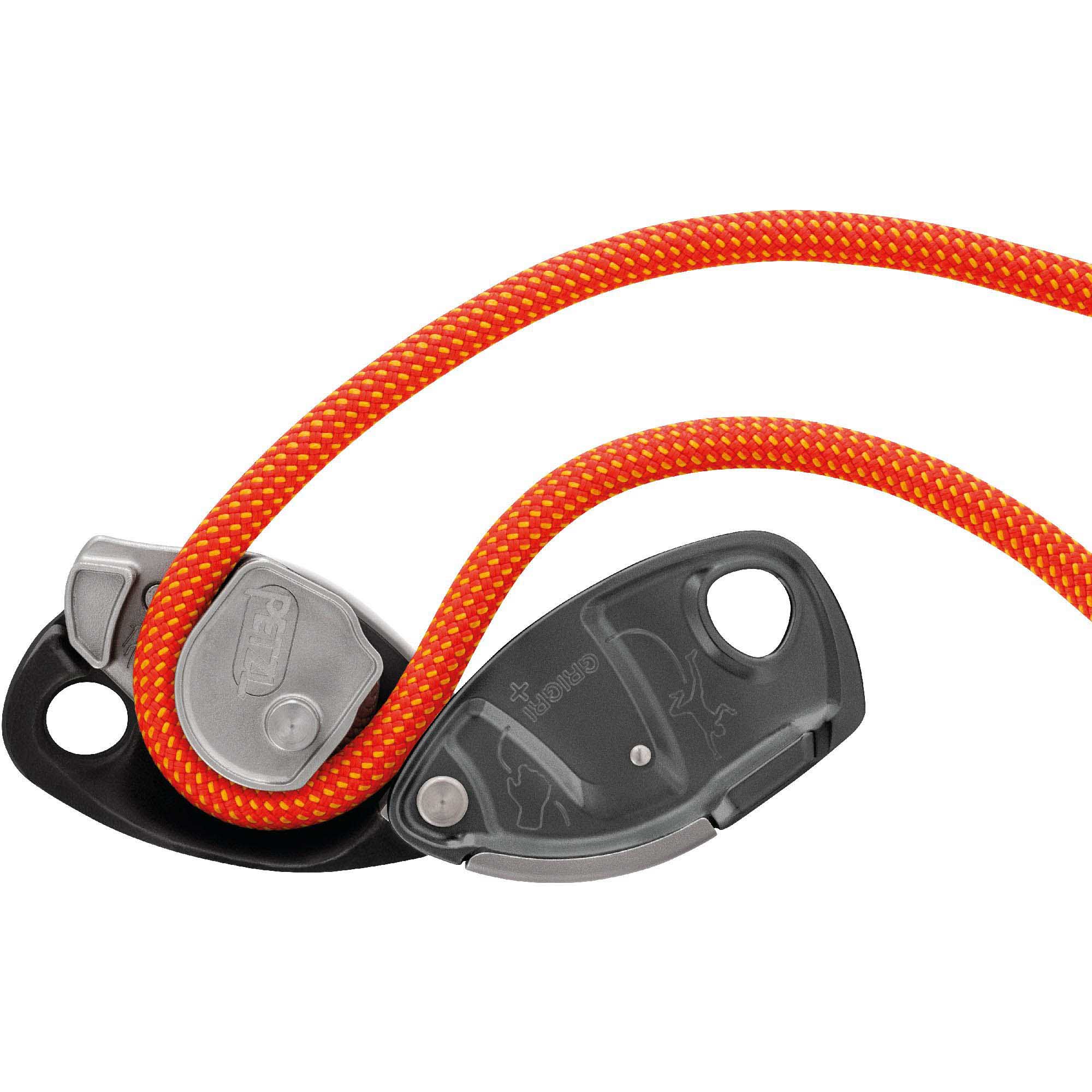 Grigri+
