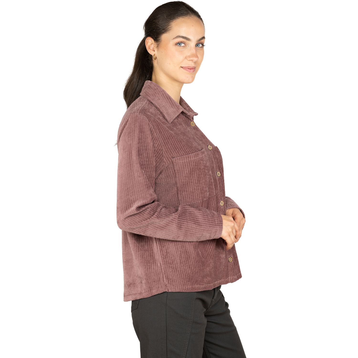 Vogesen Mountain Flower