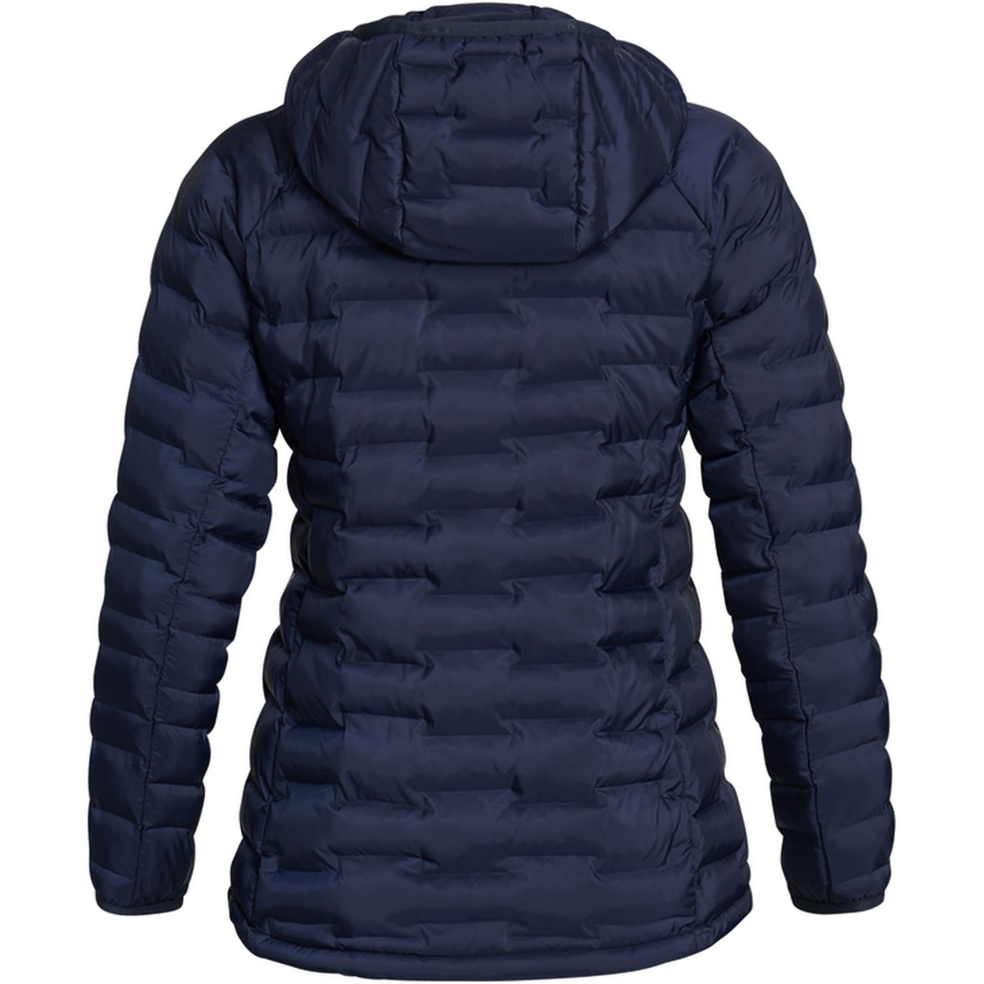 W Argon Light Hood Jacket