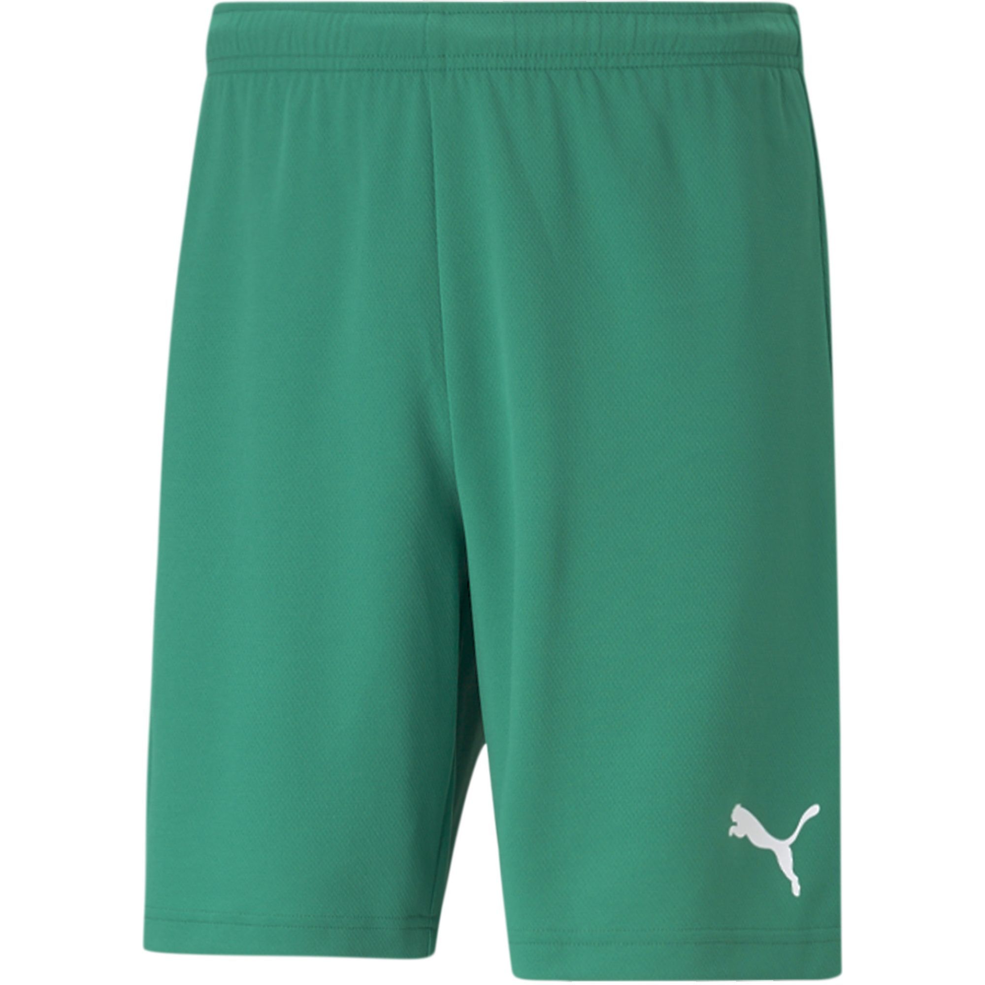 teamRISE Shorts