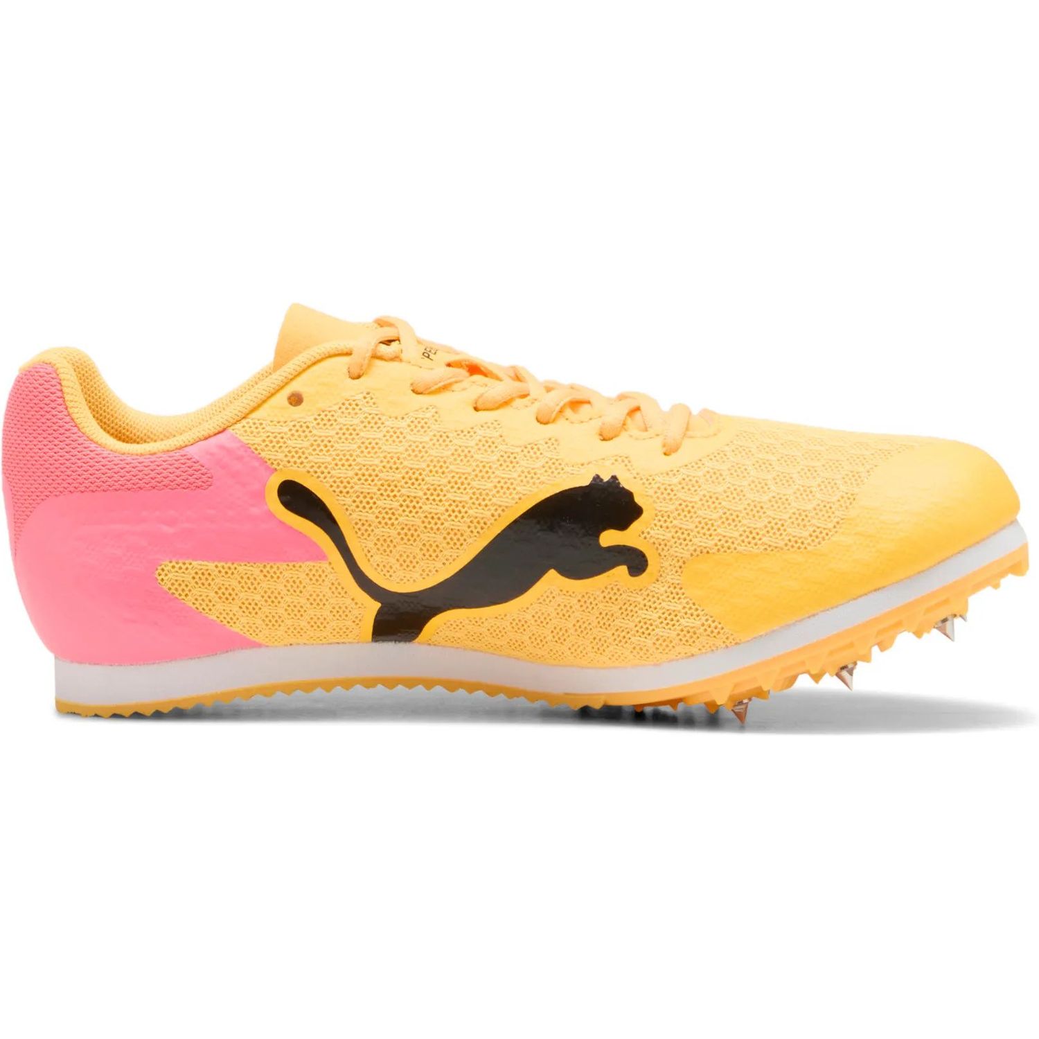 evoSPEED Star 9 Junior