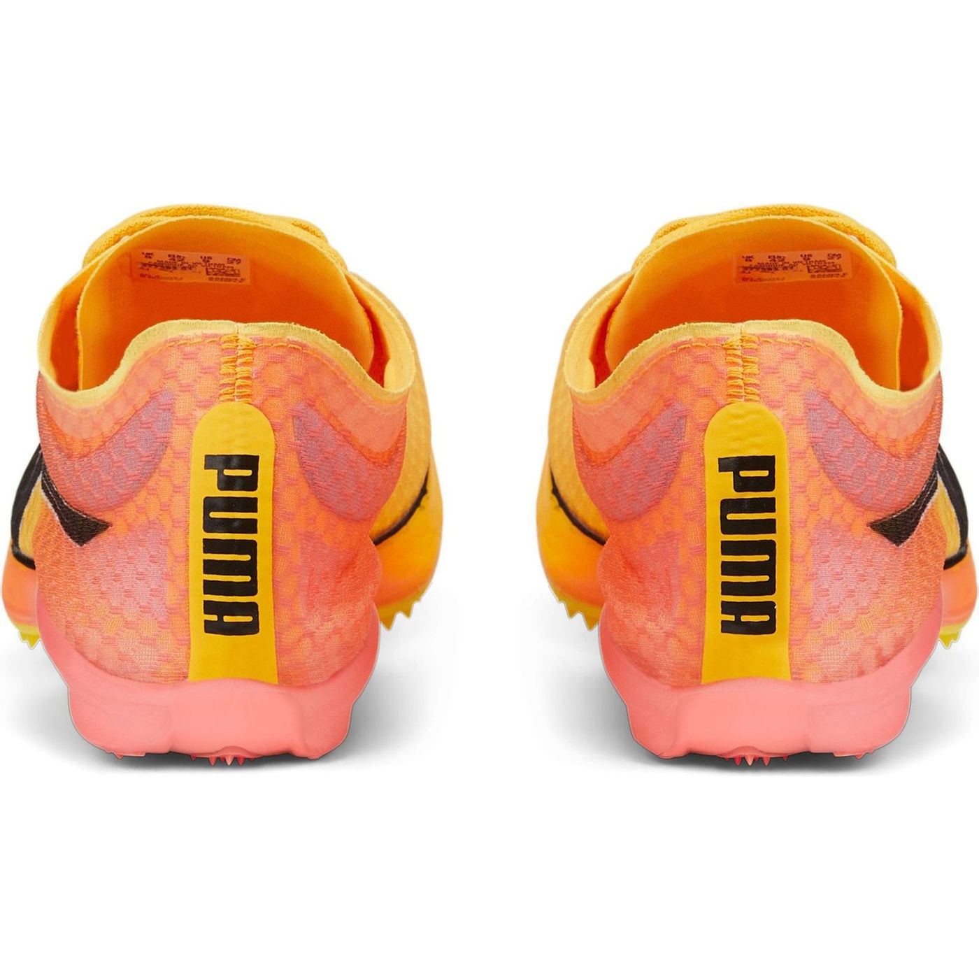 evoSPEED Distance Nitro Elite+ 2