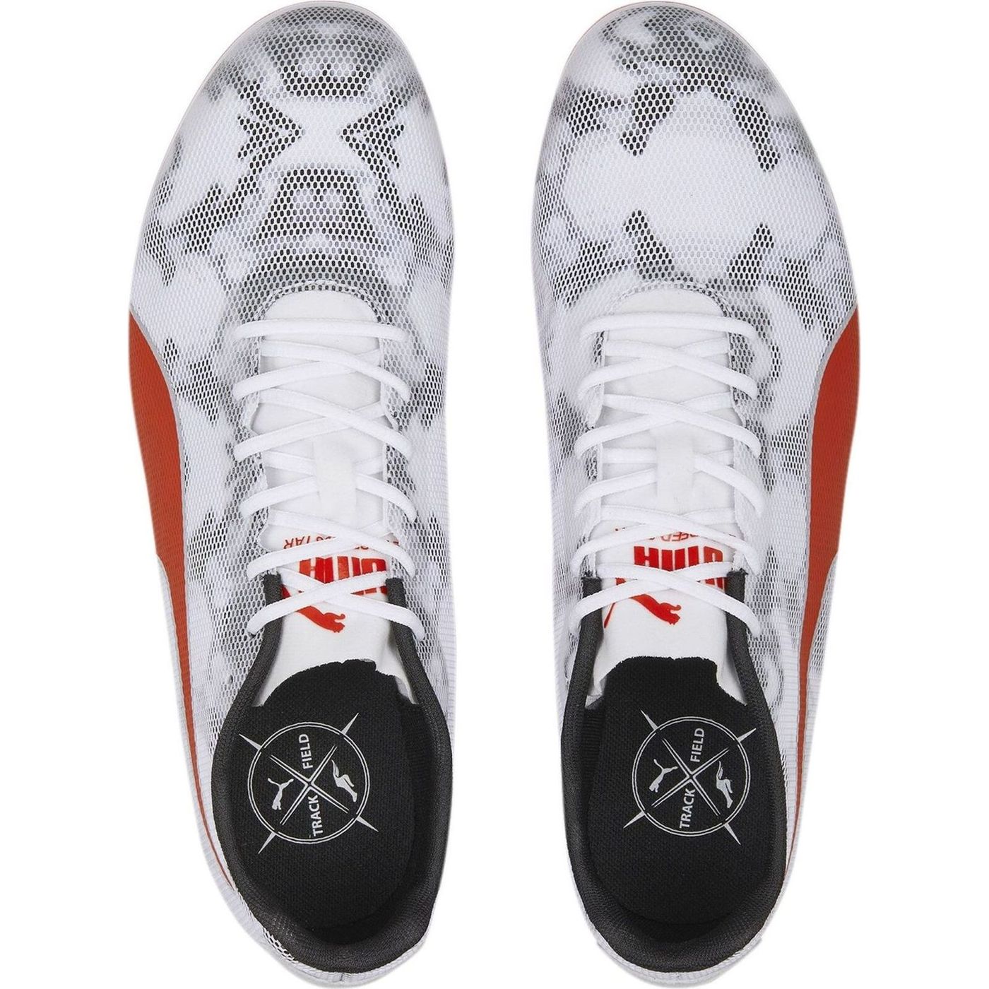 evoSPEED Star 8