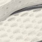 NIKE V5 RNR (GS) (Consumer Fac