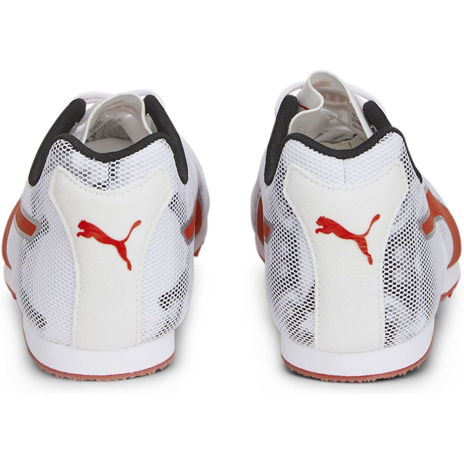 evoSPEED Star 8
