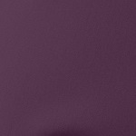 Alpine Pro 2/1 Shorts W