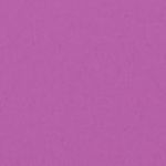 Swim Women Racerback Swim Top 1P