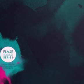 Micron Flake JR 2021