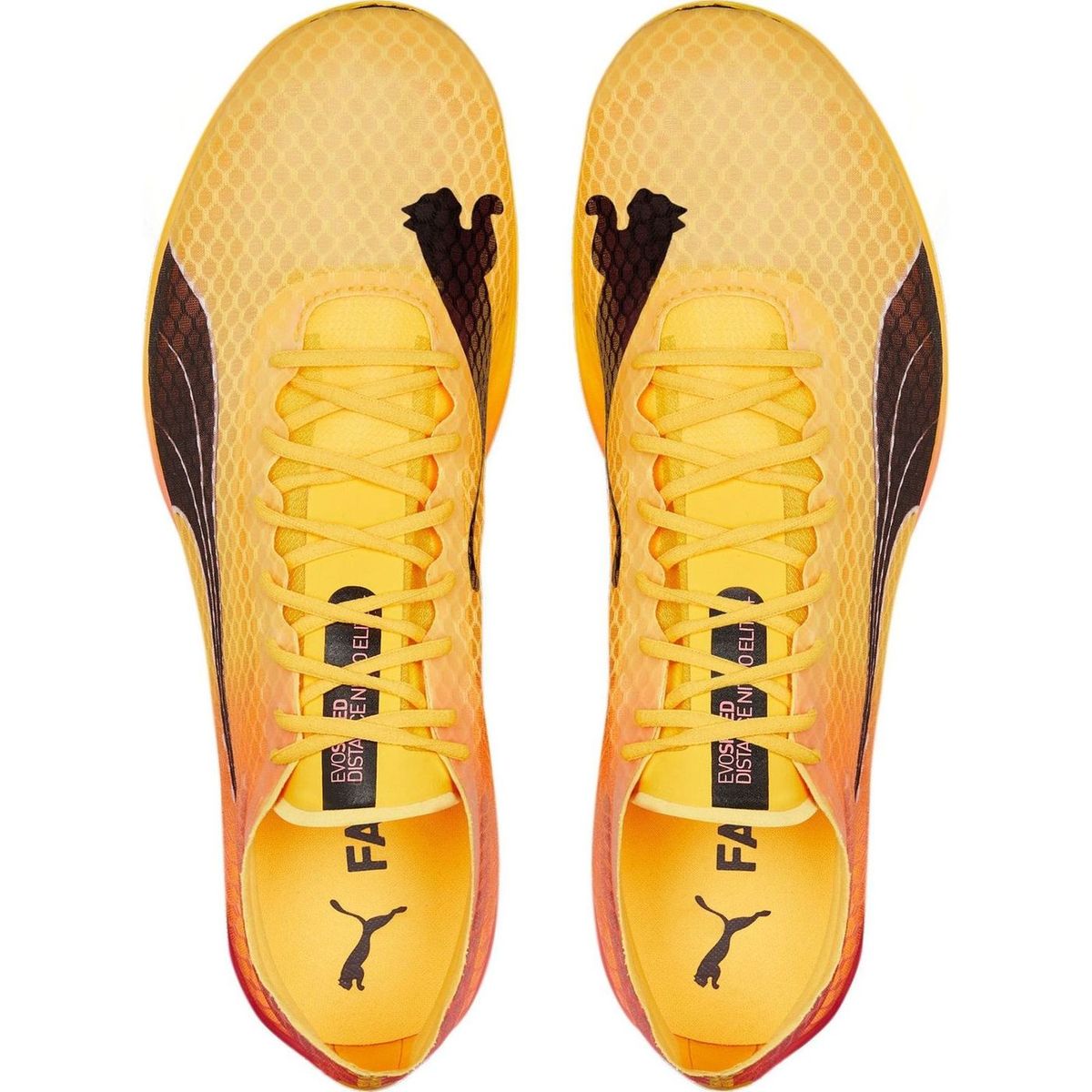 evoSPEED Distance Nitro Elite+ 2