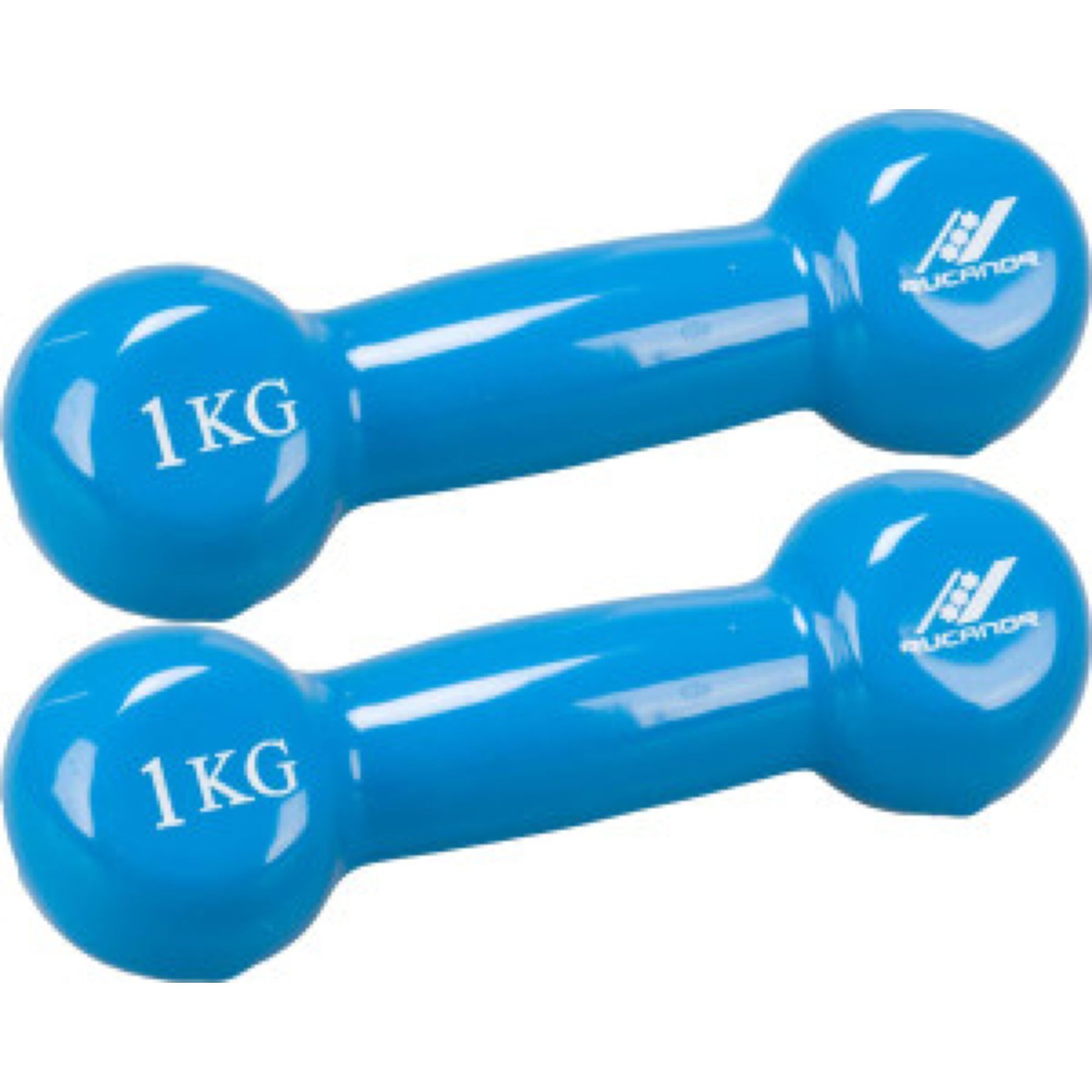 Fausthanteln aus Gusseisen 1kg