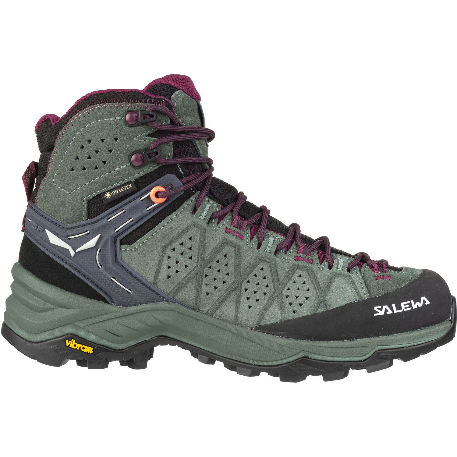 WS Alp Trainer 2 Mid GTX