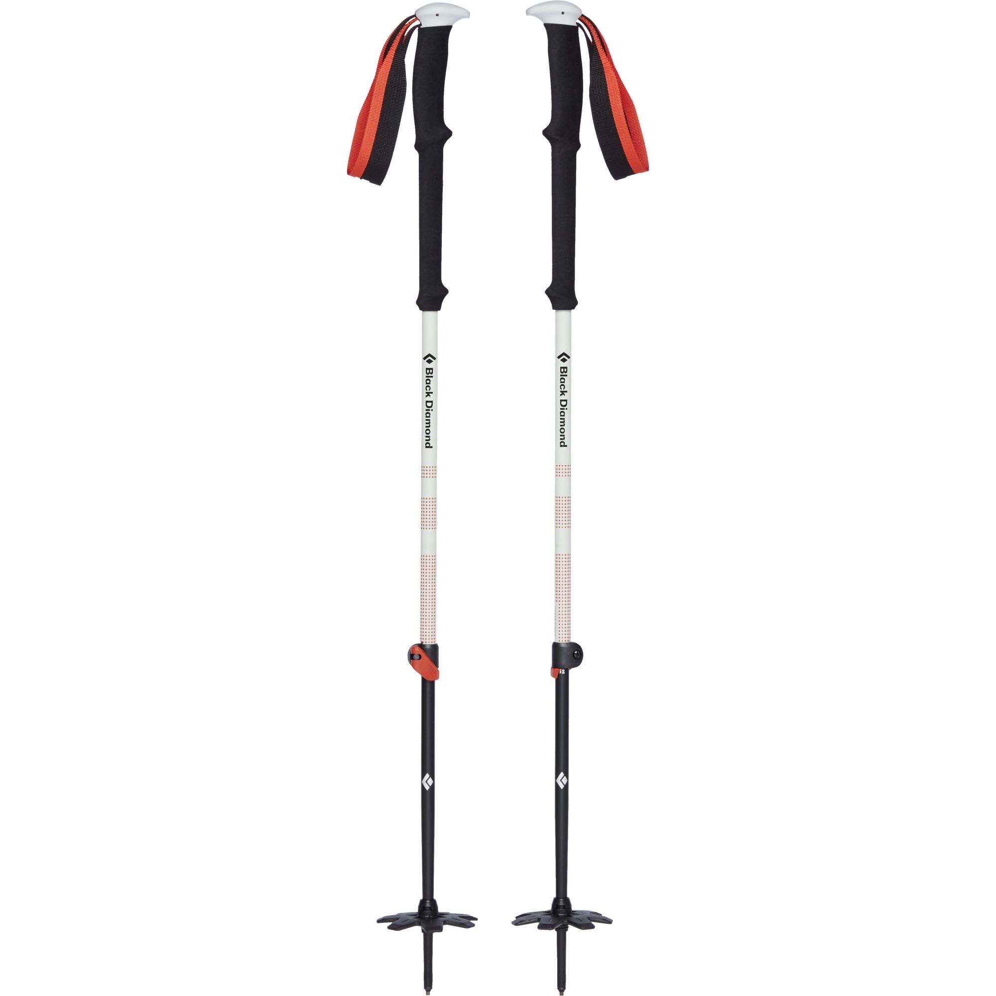 Expedition 2 Ski Poles