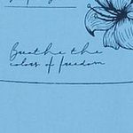 Woman T-Shirt 31T8466