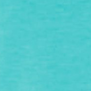 Trikots Shirt Montalcino L