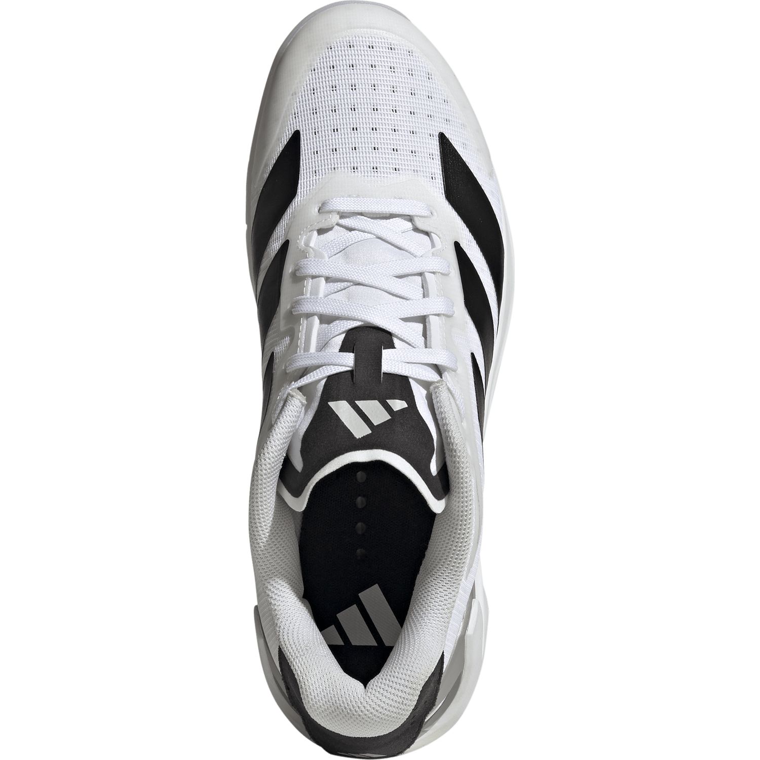 Adizero Counterblast M