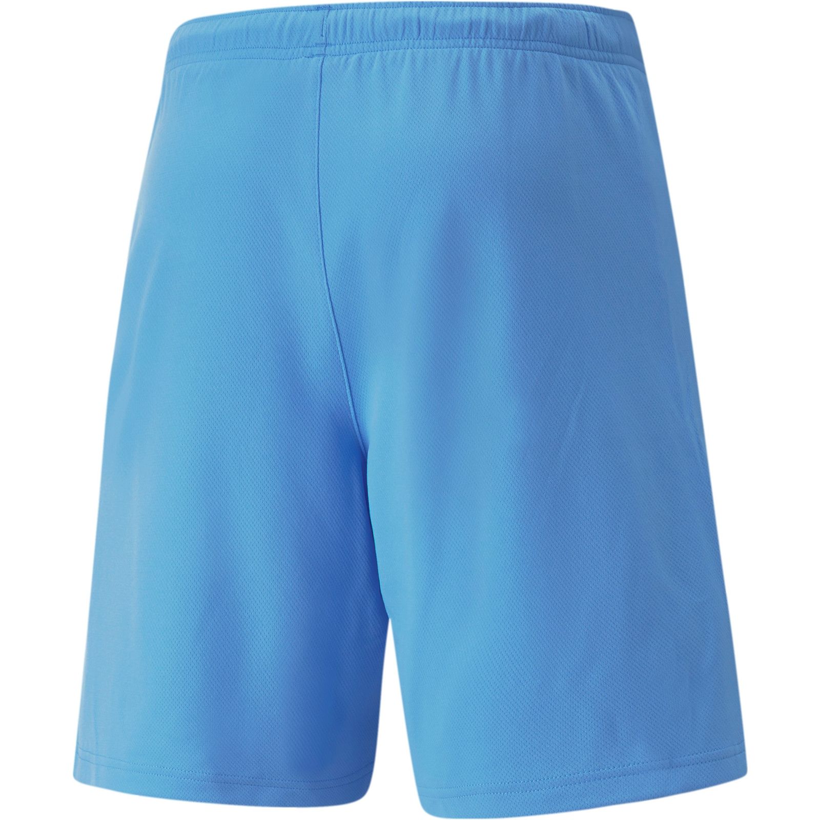 teamRISE Shorts