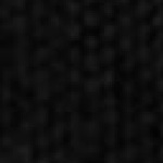 Premium NLP21 Collar YTH