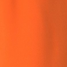 teamRISE Shorts