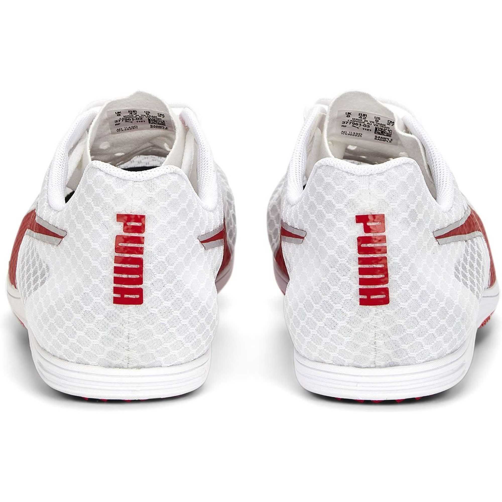 evoSPEED Distance 11