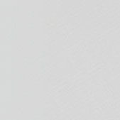 The Surfer (2021/22)