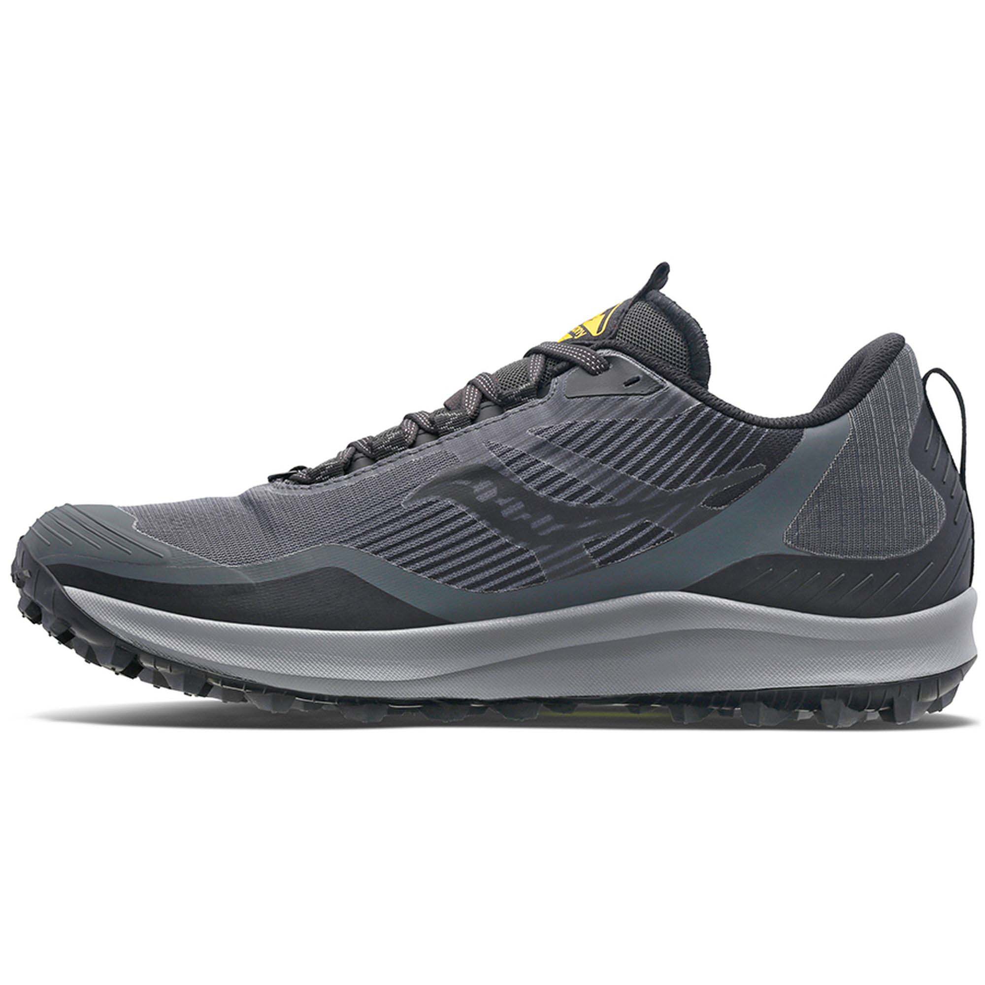 Peregrine 12 GTX Men