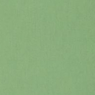 Shorts M's Trail Flow w/pad