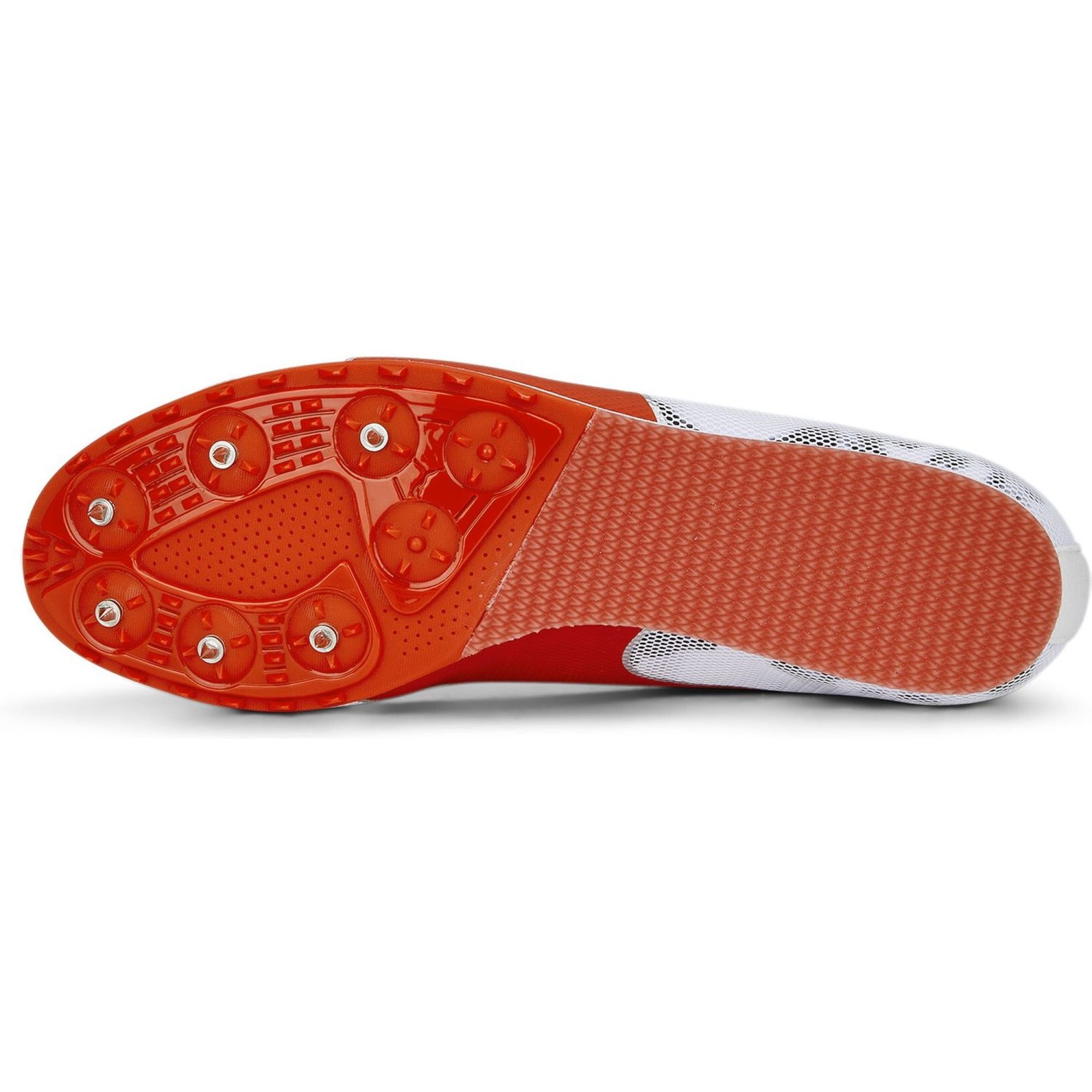 evoSPEED Star 8
