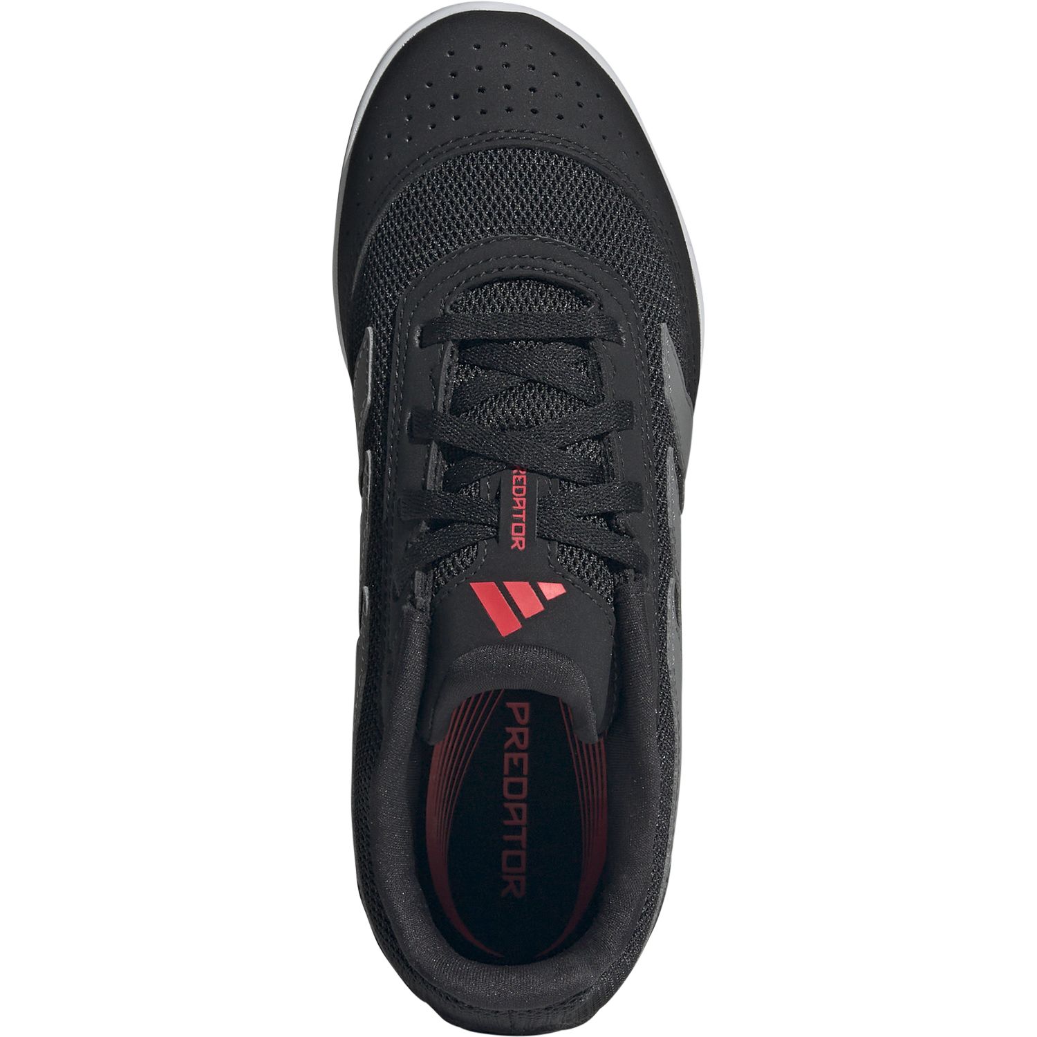 PREDATOR CLUB IN SALA J