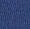Fovea Mid