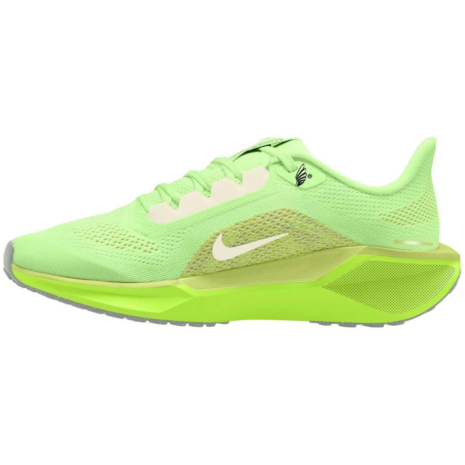 Nike Air Zoom Pegasus 40 Big K