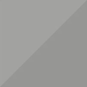 ESS 2 COLOR No. 1 Logo Shorts TR B