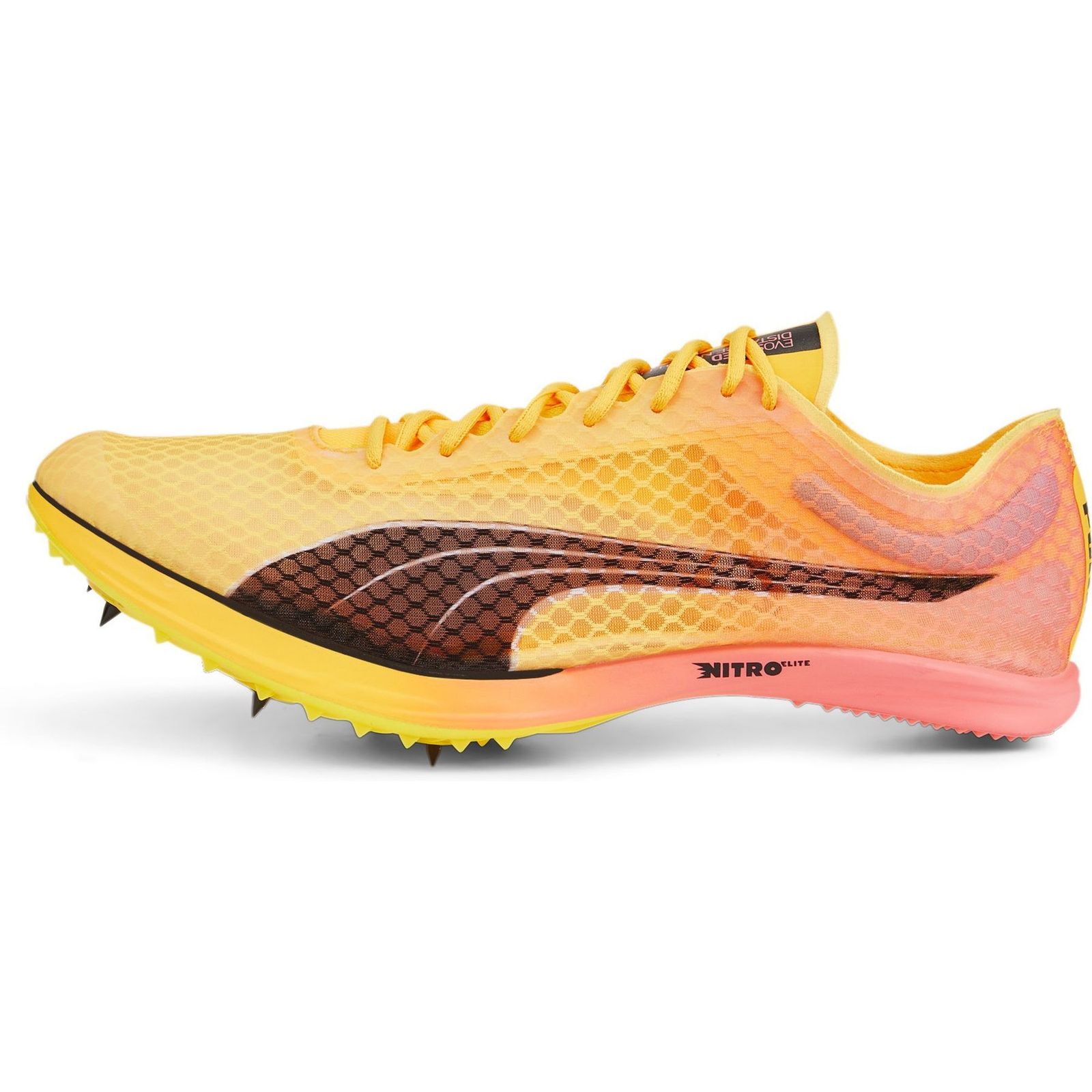 evoSPEED Distance Nitro Elite+ 2