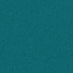 Swim Women Racerback Swim Top 1P