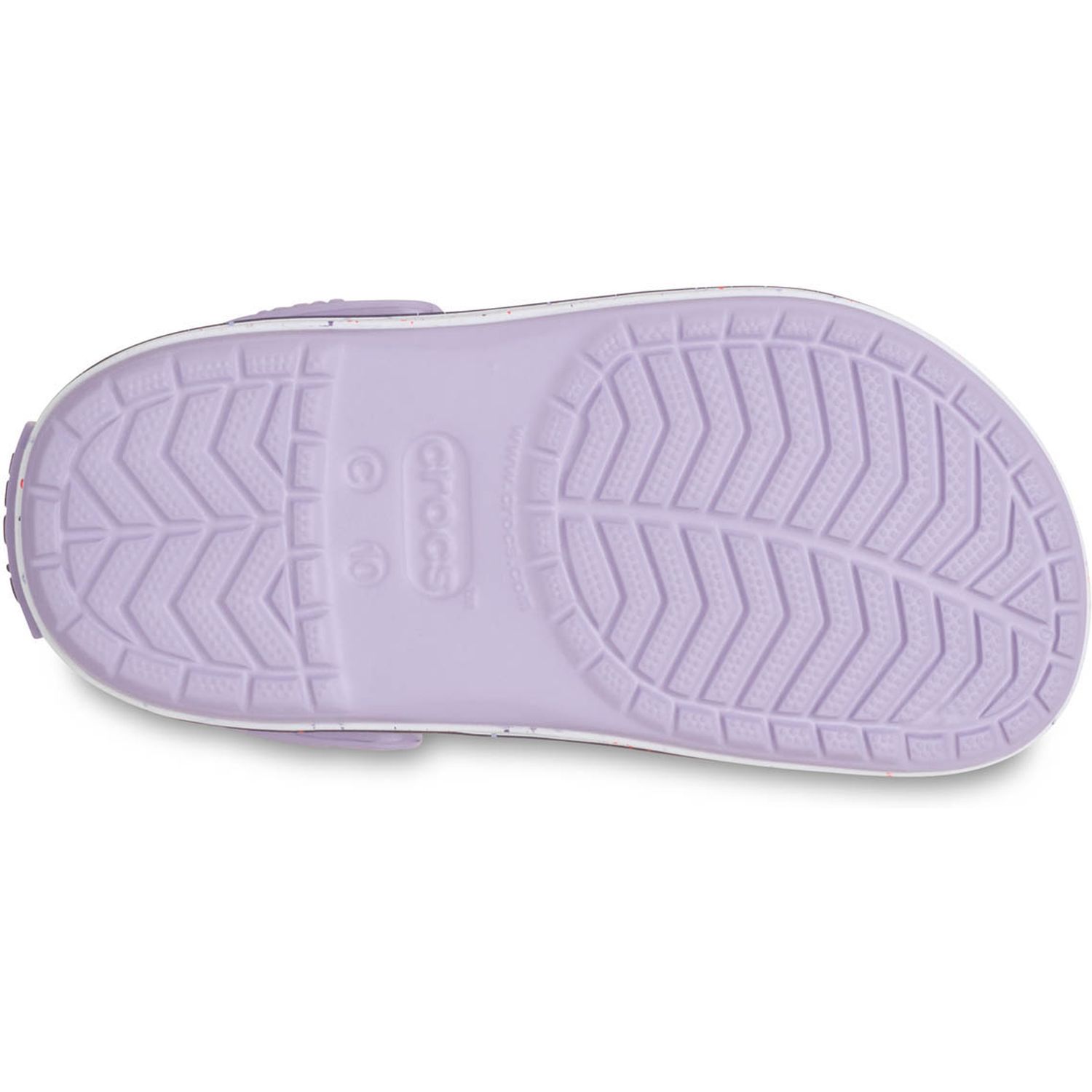 T\'s Crocbanc Speckled Band