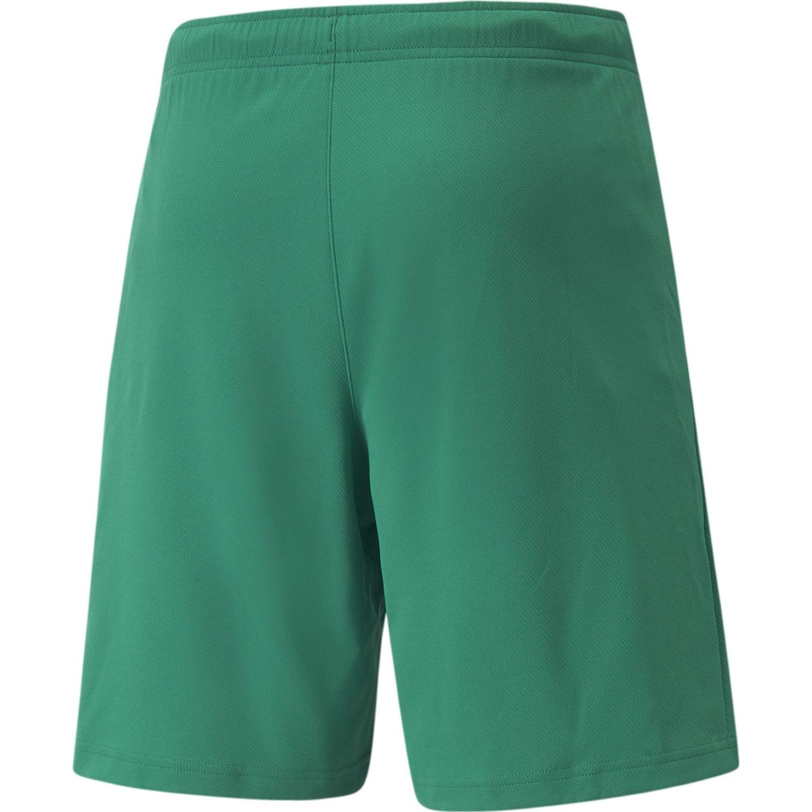 teamRISE Shorts