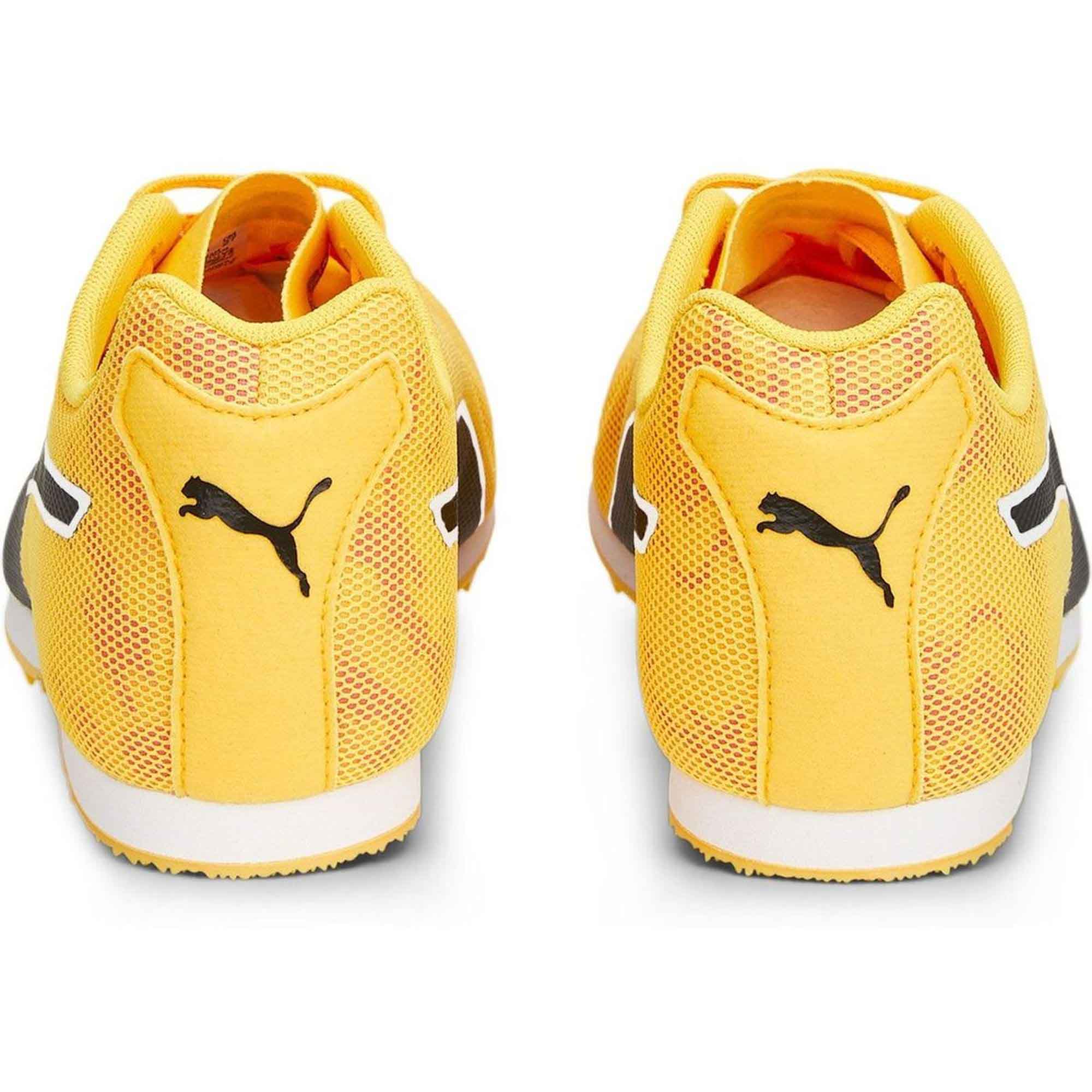 evoSPEED Star 8