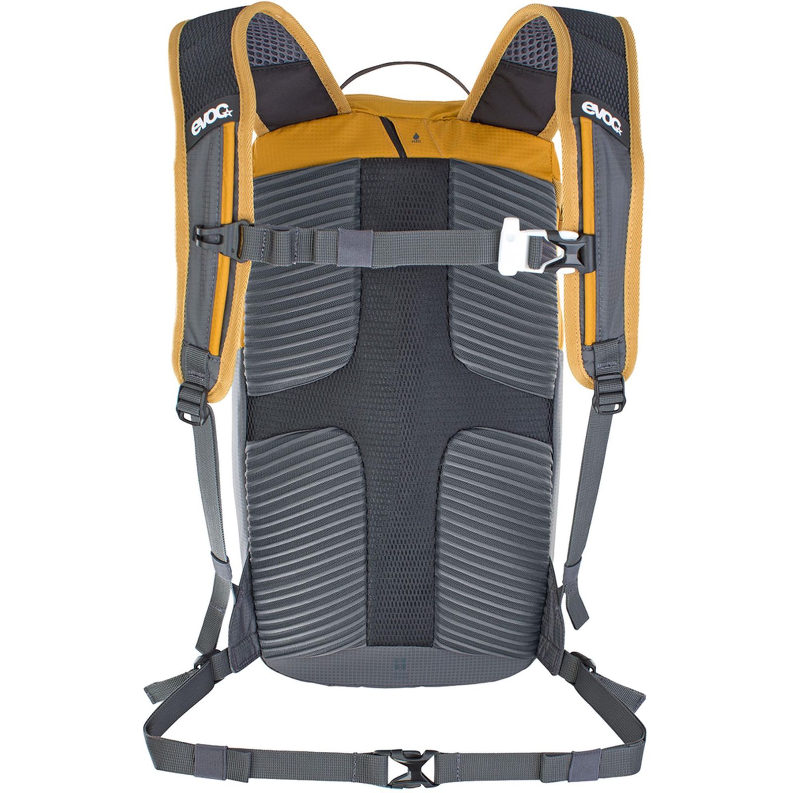 Ride 8L Backpack