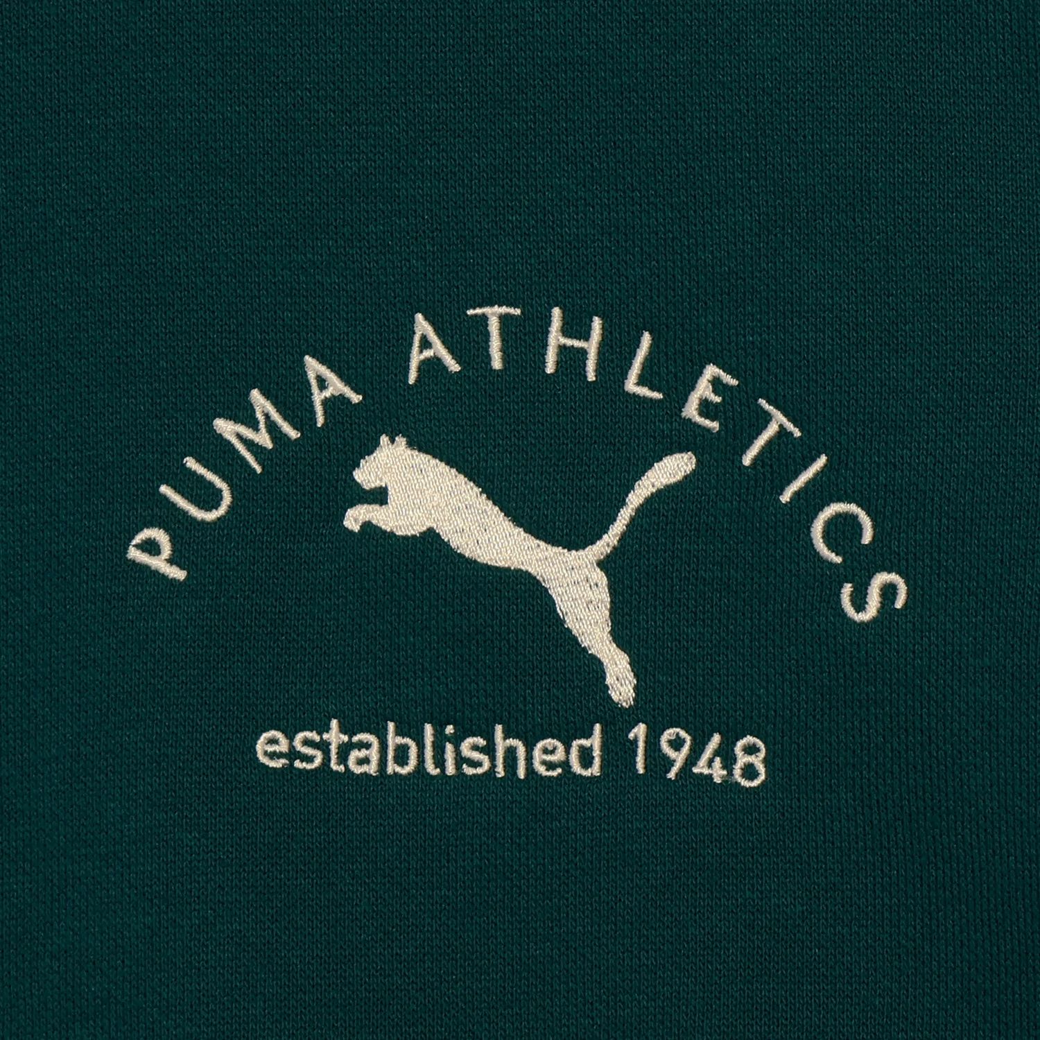 PUMA CLASS Graphic Hoodie FL